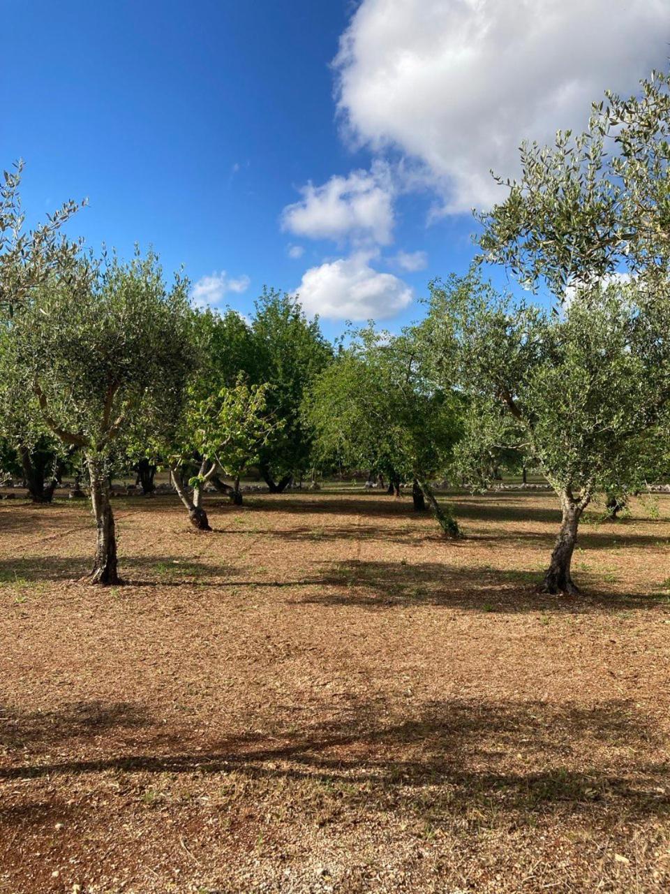 Antica Tenuta Dei Trulli By Qualitravel Alberobello Bagian luar foto